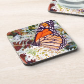 （昆虫）オオカバマダラ、モナーク コースター (左側)