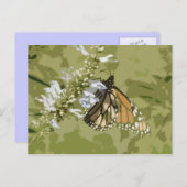 (昆虫)オオカバマダラ、モナーク&サルビア ポストカード (正面/裏面)