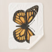 （昆虫）オオカバマダラ、モナーク シェルパブランケット (正面)