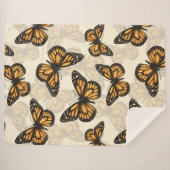 （昆虫）オオカバマダラ、モナーク シェルパブランケット (正面(横))