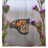 （昆虫）オオカバマダラ、モナーク シャワーカーテン (正面)