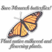 （昆虫）オオカバマダラ、モナーク シール (正面)