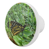 （昆虫）オオカバマダラ、モナーク セラミックノブ (右)