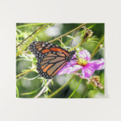 （昆虫）オオカバマダラ、モナーク タペストリー (正面(横))