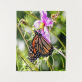 （昆虫）オオカバマダラ、モナーク タペストリー (正面)