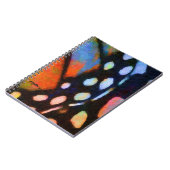 (昆虫)オオカバマダラ、モナーク ノートブック (左側)