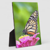 （昆虫）オオカバマダラ、モナーク フォトプラーク (側面)