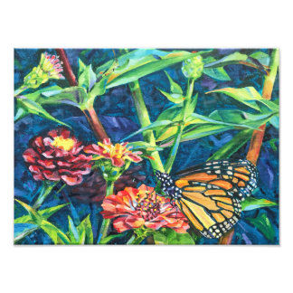 (昆虫)オオカバマダラ、モナーク フォトプリント