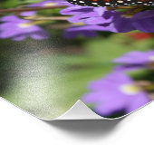 （昆虫）オオカバマダラ、モナーク フォトプリント            (角)