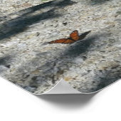 （昆虫）オオカバマダラ、モナーク ポスター (角)