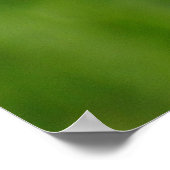 （昆虫）オオカバマダラ、モナーク ポスター (角)