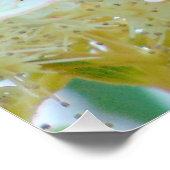 （昆虫）オオカバマダラ、モナーク ポスター (コーナー)