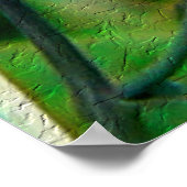 （昆虫）オオカバマダラ、モナーク ポスター (角)