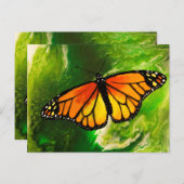 （昆虫）オオカバマダラ、モナーク ポストカード (正面/裏面)