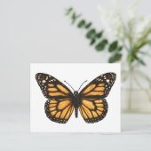(昆虫)オオカバマダラ、モナーク ポストカード (スタンド正面)