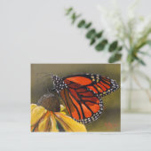 (昆虫)オオカバマダラ、モナーク ポストカード (スタンド正面)