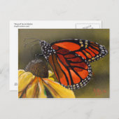 (昆虫)オオカバマダラ、モナーク ポストカード (正面/裏面)