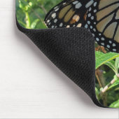 （昆虫）オオカバマダラ、モナーク マウスパッド (コーナー)