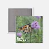 (昆虫)オオカバマダラ、モナーク マグネット (正面/裏面)