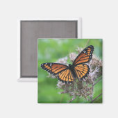 （昆虫）オオカバマダラ、モナーク マグネット (正面/裏面)