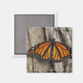 （昆虫）オオカバマダラ、モナーク マグネット (正面/裏面)