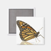 (昆虫)オオカバマダラ、モナーク マグネット (正面/裏面)