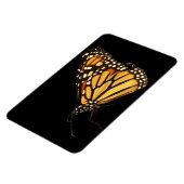 (昆虫)オオカバマダラ、モナーク マグネット (左側)