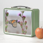 （昆虫）オオカバマダラ、モナーク メタルランチボックス (インサイチュ)