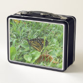 （昆虫）オオカバマダラ、モナーク メタルランチボックス (裏面)