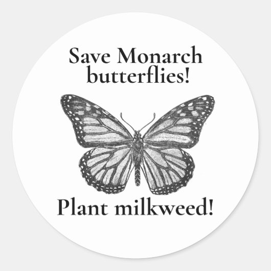 (昆虫)オオカバマダラ、モナーク ラウンドシール (正面)