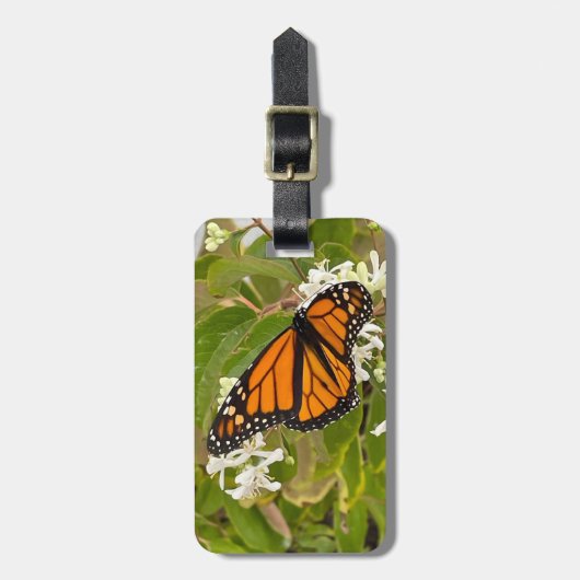 （昆虫）オオカバマダラ、モナーク ラゲッジタグ (正面縦)