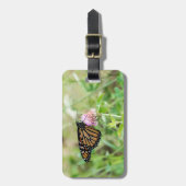 （昆虫）オオカバマダラ、モナーク ラゲッジタグ (正面縦)