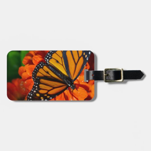 （昆虫）オオカバマダラ、モナーク ラゲッジタグ (正面横)