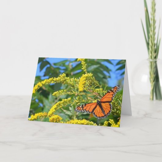 （昆虫）オオカバマダラ、モナーク- 空白のグリーティングカード カード (正面)