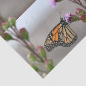 （昆虫）オオカバマダラ、モナーク 薄葉紙 (詳細)