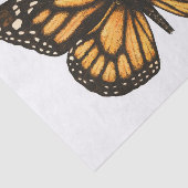 （昆虫）オオカバマダラ、モナーク 薄葉紙 (詳細)