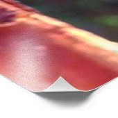 （昆虫）オオカバマダラ、モナークChrysalis 2018 – フォトプリント (角)