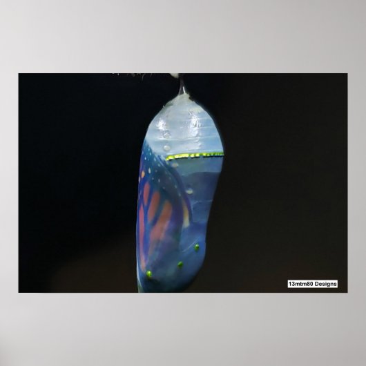 (昆虫)オオカバマダラ、モナークChrysalis 2022 – ポスター (正面)