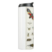 昆虫 タンブラー (回転左)