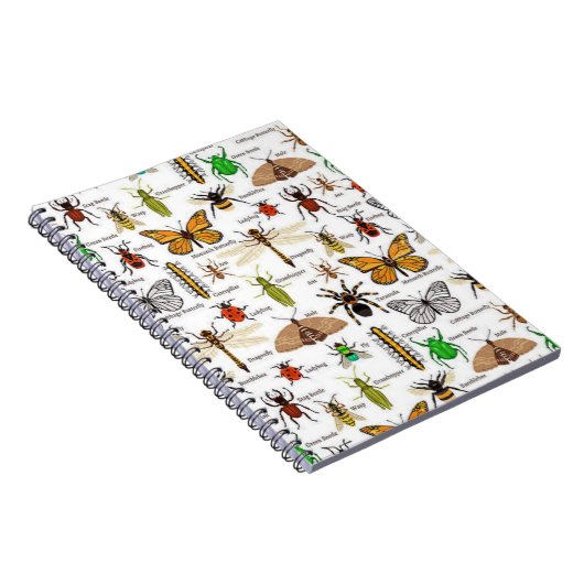 昆虫 ノートブック (右側)