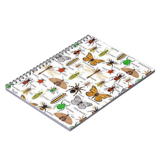 昆虫 ノートブック (左側)