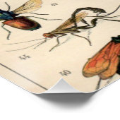 昆虫 ポスター (コーナー)