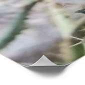 (昆虫)マルハナバチが紫色のアザミの花を収穫する ポスター (角)
