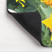 （昆虫）マルハナバチが黄色い花を受粉 マウスパッド (コーナー)