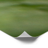 （昆虫）マルハナバチと白いダリアの写真 ポスター (角)