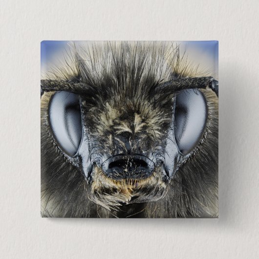 《昆虫》マルハナバチの頭部 缶バッジ (正面)