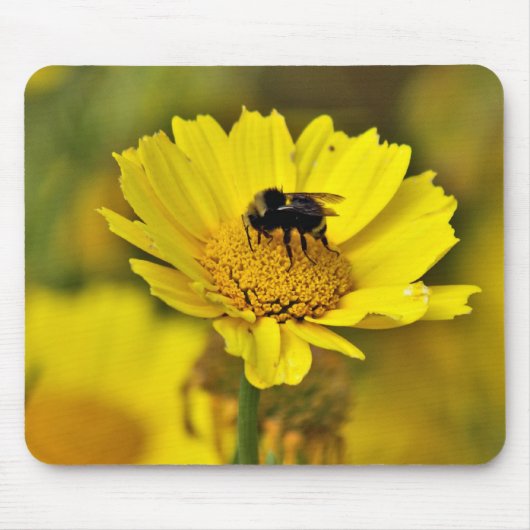 《昆虫》マルハナバチのmousepad マウスパッド (正面)