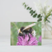 (昆虫)マルハナバチはがきに ポストカード (スタンド正面)