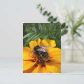 (昆虫)マルハナバチはがき ポストカード (スタンド正面)