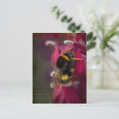 （昆虫）マルハナバチはがき ポストカード (スタンド正面)